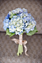 捧花<a class="text-meta meta-tag" href="/search/?q=植物">#植物#</a><a class="text-meta meta-tag" href="/search/?q=壁纸">#壁纸#</a><a class="text-meta meta-tag" href="/search/?q=小清新&am