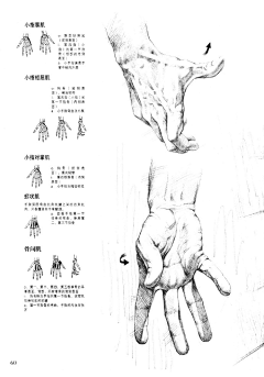 春暖心开采集到画画知识点