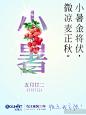 最美24节气图(11) ---- 小暑