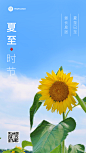 夏至节气祝福排版手机海报