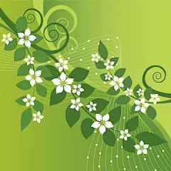 图源免费EPS文件 |Beautiful jasmine flowers and green swirls on green background