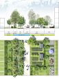 Coupe-plan sur la séquence des jardins partagés: 