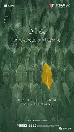 叁山德久采集到插画/节气/UI/APP