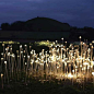 Lighting designer Bruce Munro/ Field of Light installation