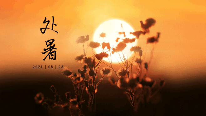 处暑二十四节气祝福实景横屏动图
