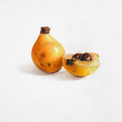 枇杷-5超写实、手绘、插画、彩铅、课程、教程、水溶性彩铅、零基础自学、资料、视频、图片、绘画、艺术、美术、简笔画、彩色简笔画入门、水彩、教学、彩铅画、成人美术、在线教育、少儿、施德楼、艺雅、辉柏嘉、纸、笔、电动橡皮擦、高光笔、铅笔、素描、又画、刀、绘本、书籍、橡皮擦