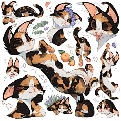 采集rceil_suco采集到furry / 兽设{西方系列}欧美动物(卡通,写实)