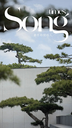 T-mousse采集到地产配图