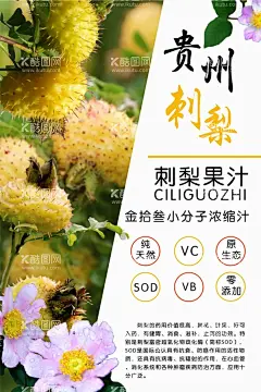 刺梨海报  - 源文件下载【酷图网】刺梨海报,刺梨功效,刺梨,刺梨果汁,贵州刺梨,