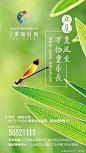 重庆房地产广告精选的照片 - 微相册