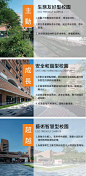 深圳中學（泥崗校區）

作為深圳中學的校樹，鳳凰木貫穿園內大小處，用專屬景觀渲染學子們對母校的歸屬感與榮譽感。在景觀設計上，設計師提取深圳中學校園精神，結合美學藝術，以“主動、成長、超越”三大理念為導向，打造生態友好型校園、安全和諧型校園、藝術智慧型校園，在鳳凰木的守護下，遵循人文優先，結合科學發展觀，在景觀形式與符號上與校區傳承形成聯動。