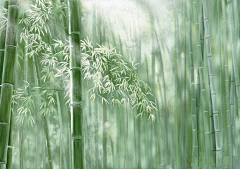 雨距采集到清风过