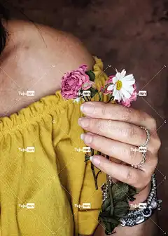 花朵 花壁纸 自然 花卉背景 花束 春天 女士 精美的
