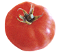tomato-02