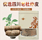 【买2送1】金貅杜仲老树厚皮四川杜仲扯丝皮可泡酒搭肉苁蓉淫羊藿-tmall.com天猫