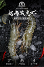 【抢！第2份仅10元】渔公码头严选 越南活冻黑虎虾（大号）毛重600g16-18只/盒净重358g 可扒大黑虎虾仁【图片 价格 品牌 报价】-京东
