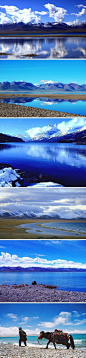 西藏“天湖”纳木错，是为世界上海拔最高的大型湖泊，是藏传佛教的著名圣地。它还有一个浪漫的别名叫“情人的蓝色眼泪”。湛兰的天、碧蓝色的湖、白雪、绿草、牧民的牛毛帐篷，交相辉映，无不感到心旷神怡！每个人心中，都有一个西藏