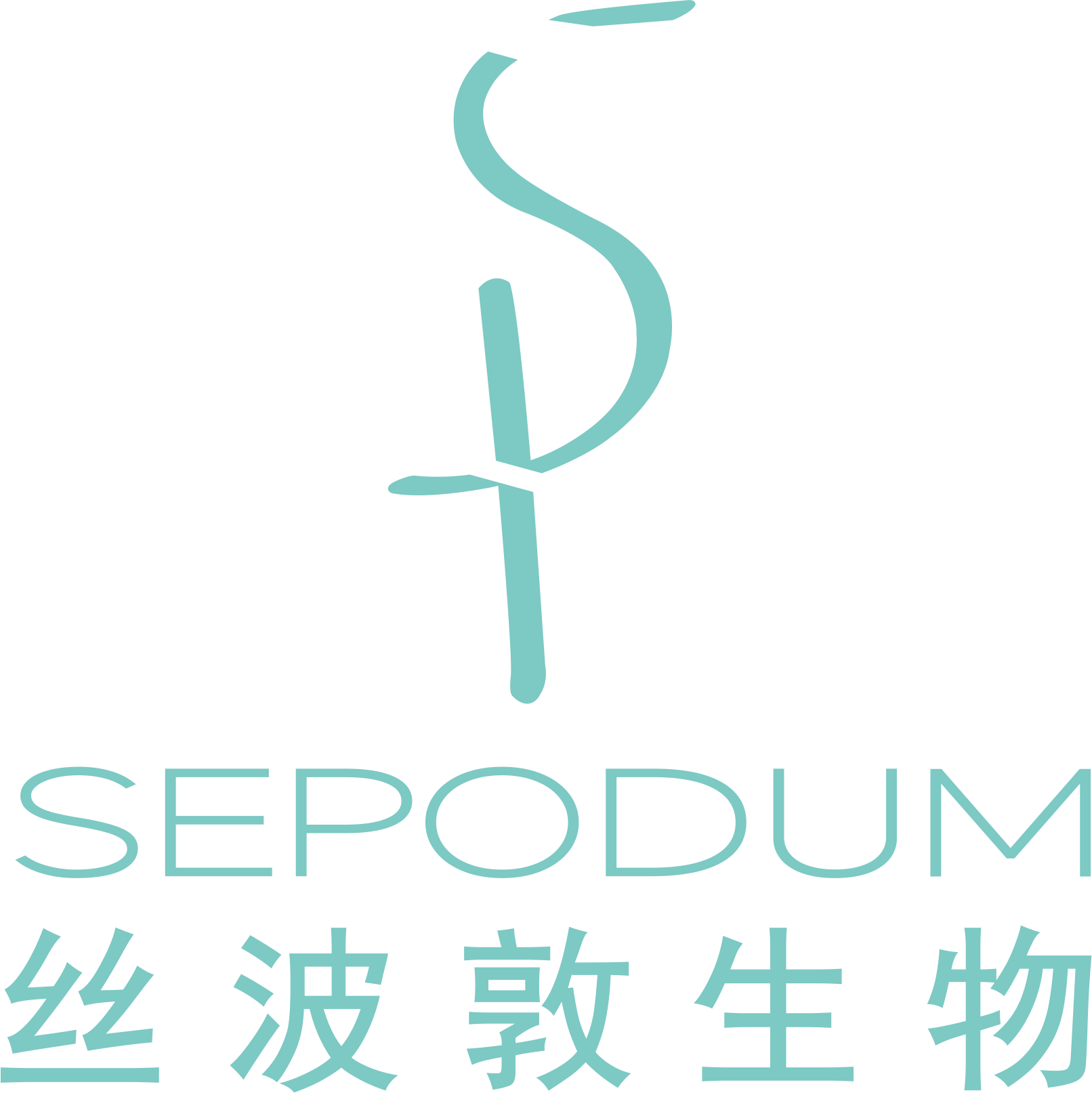 丝波敦主账号