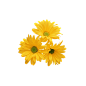 7e4274b12b9dbe52affb54bf5b4c4810