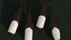 DOLPHIN ISLAND 海豚岛 | 红酒 包装 插画 LOGO 设计