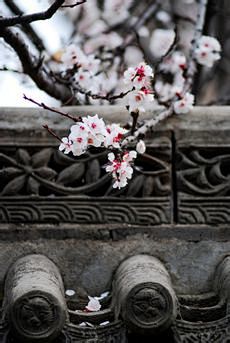 设计-百度图片