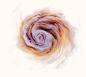 Aqueous Roses