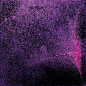 PinkPowderonBlack_Square_APF