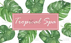 水彩手绘自然明亮的热带框架构成与绿色的棕榈叶和粉红色的方形空间的热带温泉文字孤立在白色背景上访问卡