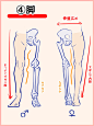 【新手学画】脚细节画法