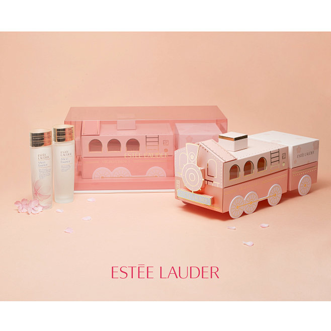 ESTEE LAUDER MICRO E...