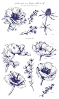 手绘彩铅钢笔黑白线稿花卉果实叶子临摹学习PNG图片临摹素材20-淘宝网