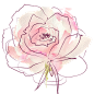 唯美水彩粉色花卉婚礼请柬海报卡片装饰免抠PNG图案 PSD模板素材 (126)
