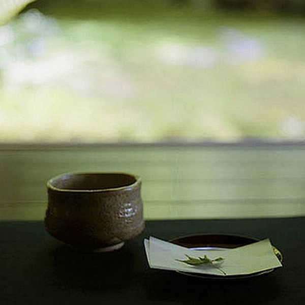半盏清茶观沉浮人生2