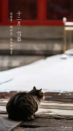 采集图片