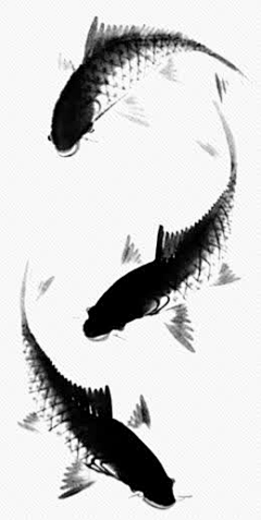 茵缔克丝采集到墨迹