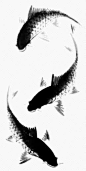 水墨两条鲤鱼中国风-觅元素51yuansu.com png水墨设计元素 #素材#