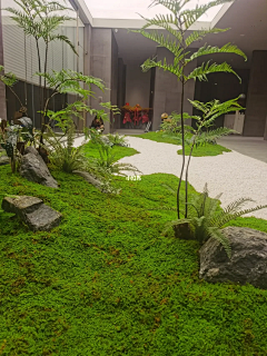 小飞废采集到苔藓造景