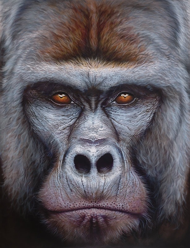 Eyan Higgins Jones逼真...