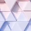 减肥D兔子