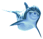 海洋生物 动物 海豚png