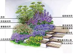 合于道庭院蓝色系列花镜搭配