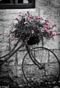​花束——我将踏上自行车远行，在荒僻的草丛中停驻。手捧野花把它，赠给那位我爱的少女。 【  】