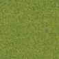 TexturesCom_Grass0138_1_seamless_S