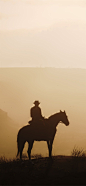 red dead redemption ii 5k iPhone 12 Wallpapers