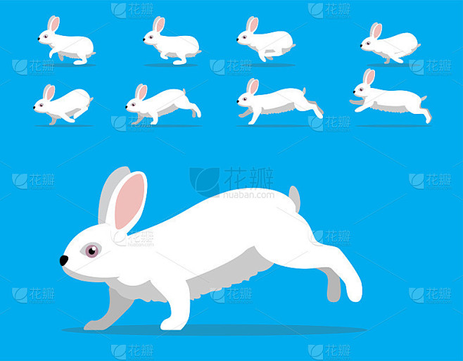 动物动画序列兔子佛罗里达白色卡通向量