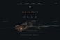 Faraday Future FF.com on Behance