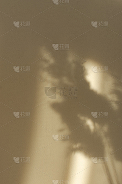 极简行动护肤采集到Lina的画板