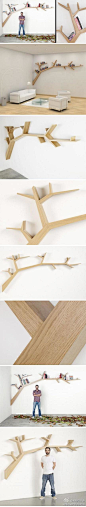 树枝书架（Tree Branch Bookshelf），法国设计师Olivier Dolle的作品