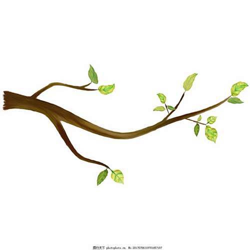 树枝简笔画_百度图片搜索