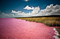 粉色的湖 澳洲的希利尔湖 & 非洲的塞内加尔湖